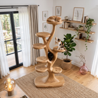 Arbre à chat moderne en forme d'arbre avec plateformes à plusieurs niveaux pour chats d'intérieur SINLHATT017