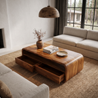 Table basse du milieu du siècle avec cadre arrondi et rangement pour salon SINLHACF423